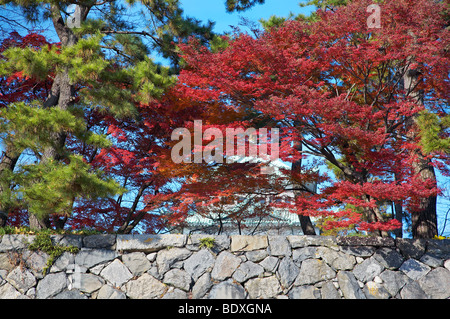 Steinmauer der Burg Nagoya in Japan Stockfoto