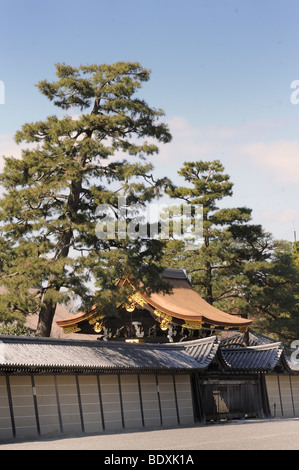 Nordtor des Imperial Palace mit schwarzen Pinien Gosho in Kyoto, Japan, Asien Stockfoto