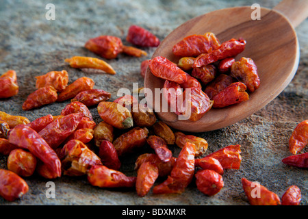 Chili Paprika (Paprika), mit einem Holzlöffel auf einer Steinplatte Stockfoto