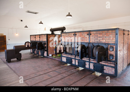 Öfen im Krematorium Buchenwald Konzentrationslager Ettersberg, Deutschland, Europa Stockfoto