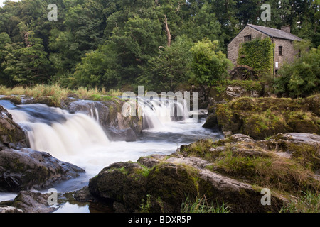 Cenarth fällt auf die Afon Teifi, Pembrokeshire, Wales, Uk Stockfoto