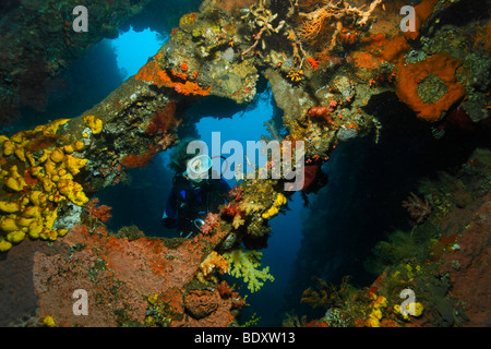 Taucher erkunden eine Passage im Liberty Wrack, Tulamben, Bali, Indonesien, Indischer Ozean, Bali Meer. Stockfoto