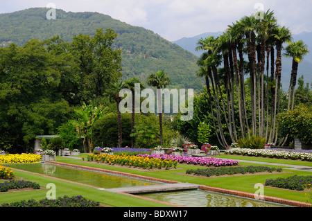 Die Gärten der Villa Taranto am Lago Maggiore in Norditalien. Eines der großen Gärten der Welt Stockfoto