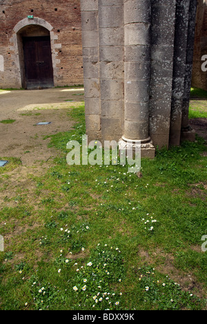 San Galgano im 12. Jahrhundert Abtei gegründet von Französisch Zisterzienser-Mönche in der Nähe von Siena, jetzt mit dem Dach eingestürzt. Stockfoto