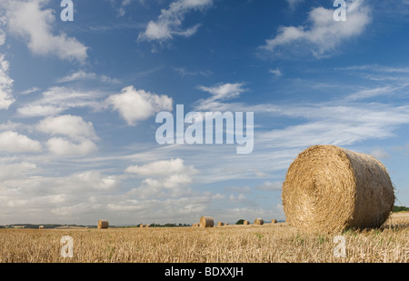 Strohballen auf einem Feld bei der Ernte in der englischen Landschaft Stockfoto