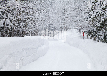 Schwerer Sturz von Schnee, Grindelwald, Jungfrau Region, Berner Oberland, Schweizer Alpen, Schweiz Stockfoto
