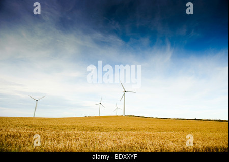 Windpark erneuerbare Energien Windkraft, Anglesey North Wales, UK Stockfoto