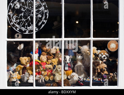 Teddybär Schaufenster, Stratford-upon-Avon, Warwickshire, England Stockfoto