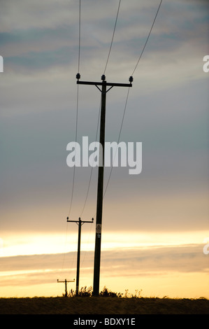 Silhouetten von Telefonmasten und Drähte in der Abenddämmerung Stockfoto