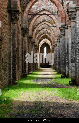 San Galgano im 12. Jahrhundert Abtei gegründet von Französisch Zisterzienser-Mönche in der Nähe von Siena, jetzt mit dem Dach eingestürzt. Stockfoto