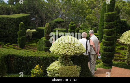 Ein älteres Ehepaar ein Formschnitt Anzeige im Botanischen Garten von Funchal auf Madeira. Stockfoto