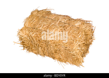 Ein Ballen Heu isoliert auf weißem Hintergrund Stockfoto