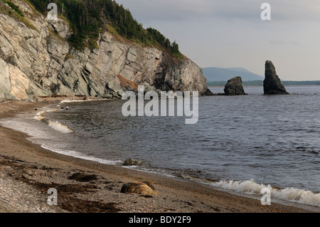 Toten Pilotwal und Adler auf Säule Rock Strand Cabot Trail Cape Breton Highlands National Park Cape Breton Island Nova Scotia Kanada Stockfoto