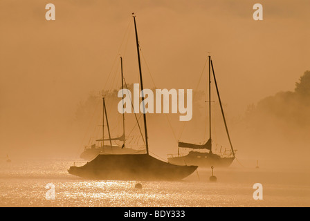 Segelboote und Nebel am Südende des Ammersee See in Diessen, Bayern, Deutschland, Europa Stockfoto