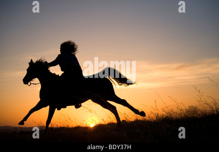 Frau reitet ihr Pferd bei Sonnenuntergang Stockfoto