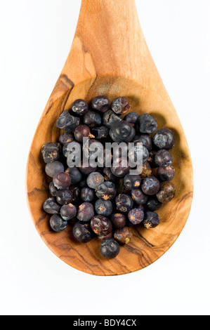 Wacholderbeeren (Juniperus Communis) auf einem Löffel aus Olivenholz Stockfoto