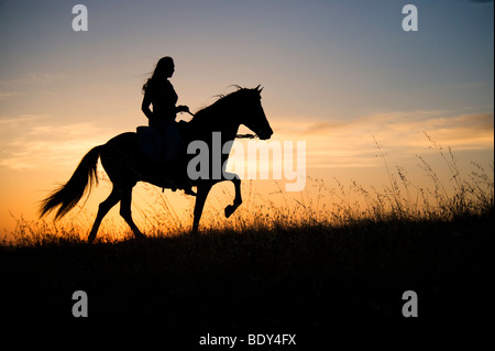 Frau reitet ihr Pferd bei Sonnenuntergang Stockfoto