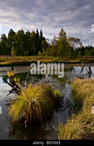 Russland, Süd-Ural, Ansicht des Zhuravlinoe marsh Stockfoto