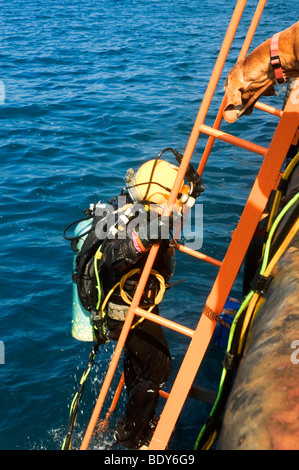 Gewerblicher Taucher aus dem Mittelmeer. Kabel von der Oberfläche liefern Strom für das Licht, Stockfoto