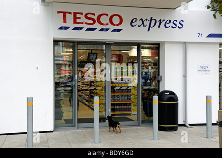 Tesco Express mit kleinen Hund draußen warten Stockfoto