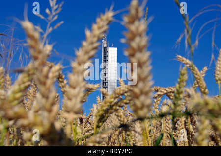 Schapfenmuehle Mühlenturm, dem höchsten Getreidesilo in der Welt, bedeckt mit einer Photovoltaik-Anlage, Jungingen, Ulm, Baden-Wuert Stockfoto