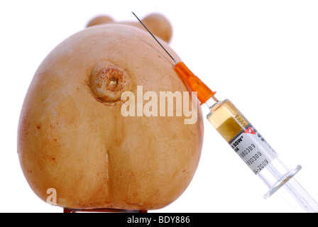 Miniatur-Schweine und Spritze, Impfung gegen die Schweinegrippe Stockfoto