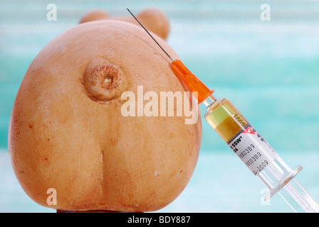 Miniatur-Schweine und Spritze, Impfung gegen die Schweinegrippe Stockfoto