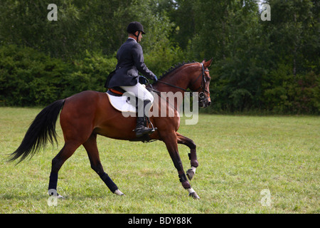 Pferd Reiter Stockfoto