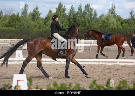 Weibliche Dressur-Reiter Stockfoto