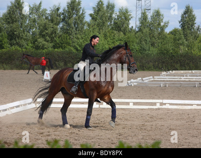 Weibliche Dressur-Reiter Stockfoto