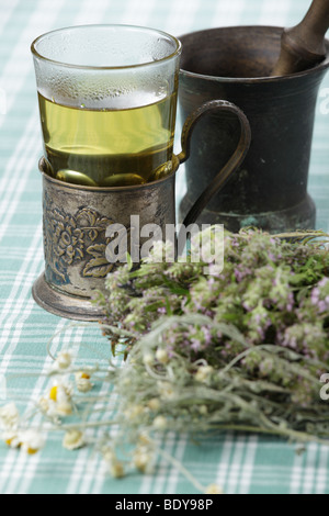 Kräuter, frische Kräuter-Tee, Mörser und Stößel Stockfoto