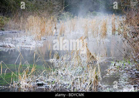 Nebel steigt aus den Fluß Lathkill an einem kalten Wintern Morgen am Lathkill Dale in Derbyshire Stockfoto