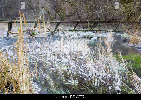 Der Fluß Lathkill bei Lathkill Dale in Derbyshire an einem kalten frostigen Winter Morgen Stockfoto