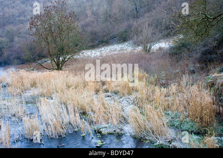 Der Fluß Lathkill bei Lathkill Dale in Derbyshire an einem kalten frostigen Winter Morgen Stockfoto