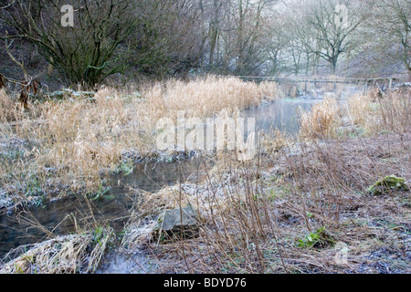 Der Fluß Lathkill bei Lathkill Dale in Derbyshire an einem kalten frostigen Winter Morgen Stockfoto