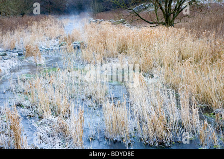 Nebel steigt aus den Fluß Lathkill an einem kalten Wintern Morgen am Lathkill Dale in Derbyshire Stockfoto