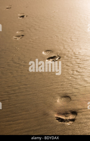 Fußabdrücke an einem goldenen Strand Stockfoto