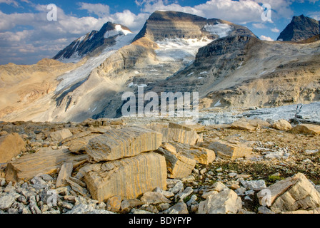 Der Präsident Range mit Kalksteinblöcken und Karsterscheinungen im Vordergrund, Yoho-Nationalpark in British Columbia Kanada Stockfoto