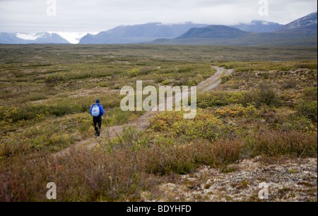 Eine Frau Wanderungen durch die alpine Tundra auf Maclaren-Gipfel-Tour in Alaska Stockfoto