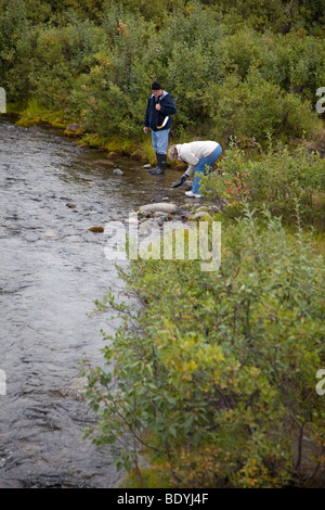 Eine Frau in einem Bach in der Nähe des Denali Highway in der abgelegenen Wildnis östlich vom Denali National Park Goldwaschen. Stockfoto