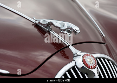 Kühler Abbildung eines Jaguar Mark II Stockfoto