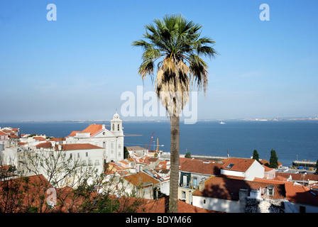 Blick auf die Alfama-Viertel mit der Kirche von Santo Estevao, Lissabon, Portugal, Europa