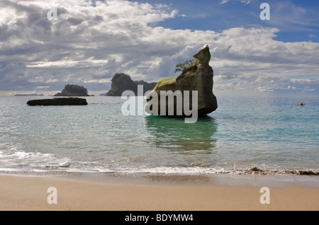 Cathedral Cove Marine Reserve, Coromandel Halbinsel, Nordinsel, Neuseeland Stockfoto