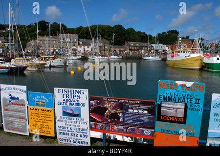 Hafen von Padstow mit sportboote aller Beschreibungen gefüllt. Stockfoto