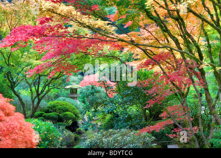 Skulptur und Farbe bei Portland Japanese Garden fallen. Oregon Stockfoto