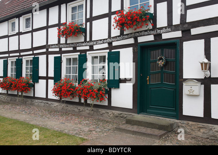 Kran Bill in Blumenkästen an Fenstern eines Fachwerkhaus; Bellingen in Sachsen-Anhalt, Deutschland Stockfoto