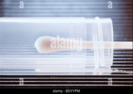Wattestäbchen für DNA-Tests und Vaterschaftstests Stockfoto