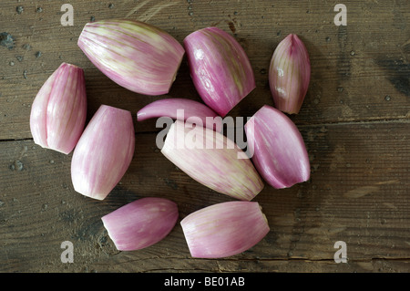 Geschälte Schalotten oder Eschalotte (Allium Ascalonicum) Stockfoto