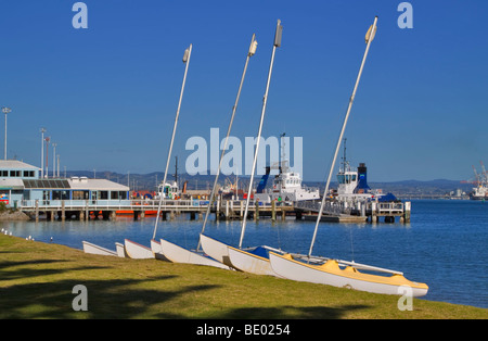 Katamarane für Pilot Bay Beach, Tauranga Harbour, Mount Maunganui, Neuseeland ausgearbeitet. Stockfoto