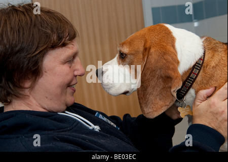 Besitzerin mit ihrem Beagle Hund Stockfoto